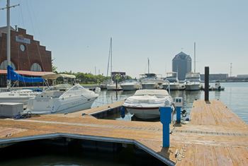 many boats are docked at a dock in a marina at Tindeco Wharf, Maryland, 21224